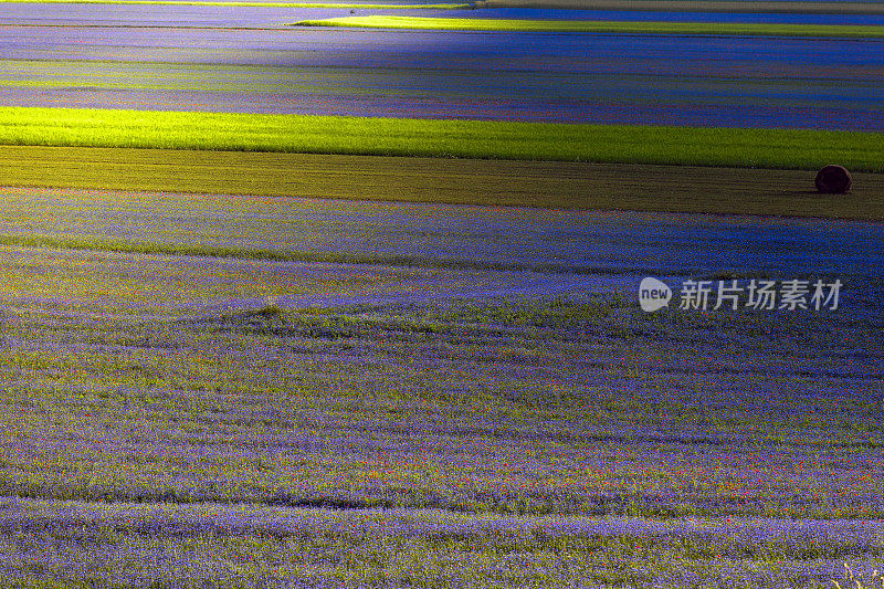 Piano Grande di Castelluccio，位于绿色山丘上的村庄，意大利